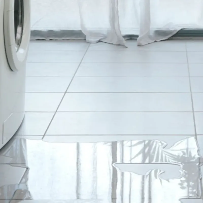 Appliance Leak Cleanup in Montello, WI