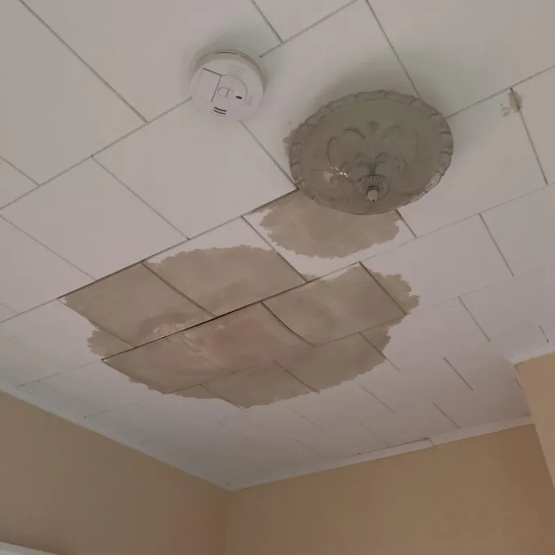 Ceiling Water Damage Repair in Montello, WI