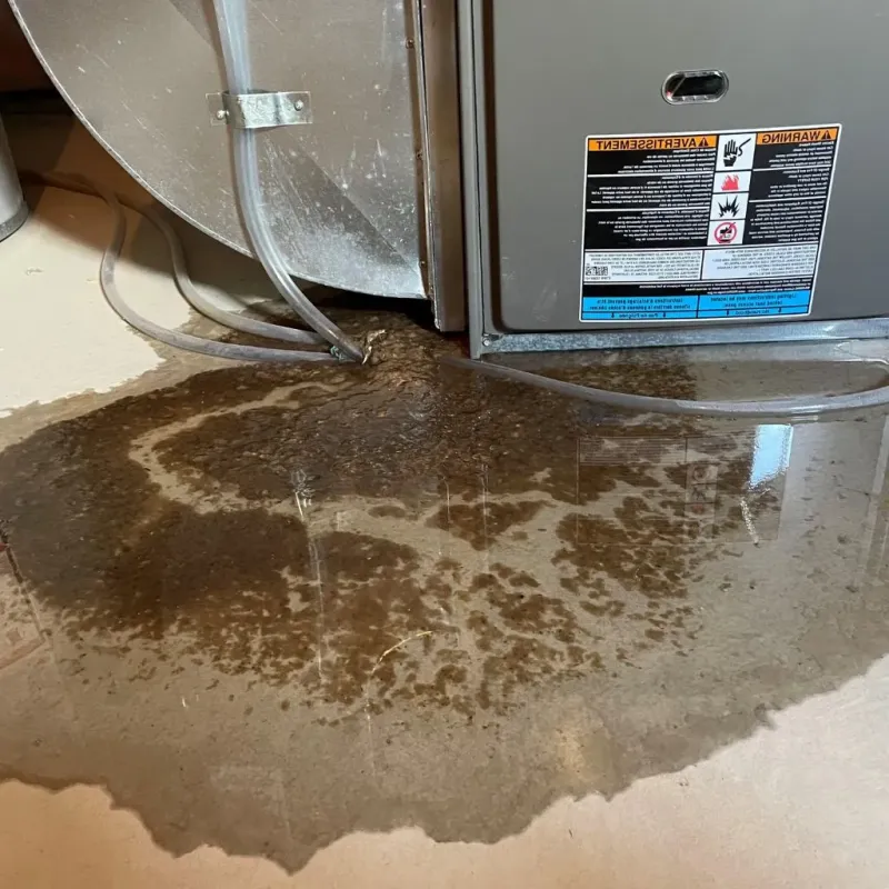 Pipe Burst and Leak Restoration in Montello, WI