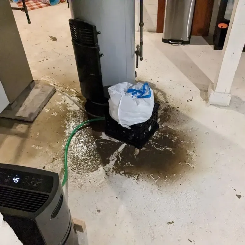 Sewage Backup Cleanup Service in Montello, WI